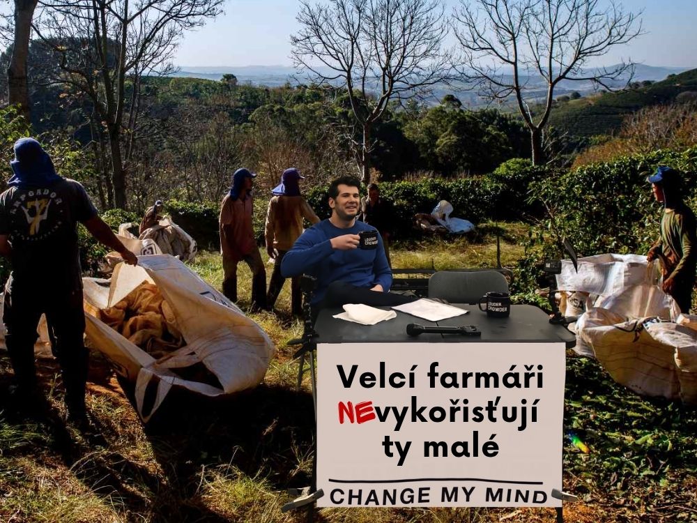 Náhledovka