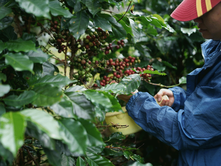 filtercoffee-1-1-scaled (1)