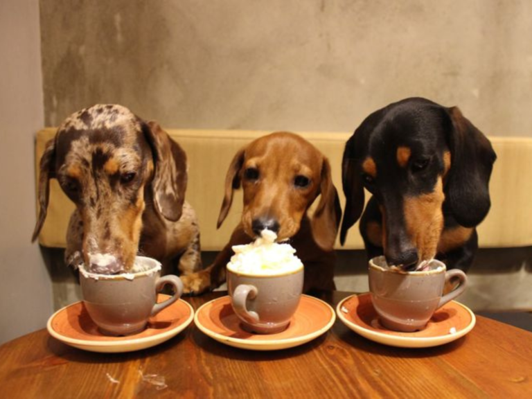 Návrh bez názvu (2)