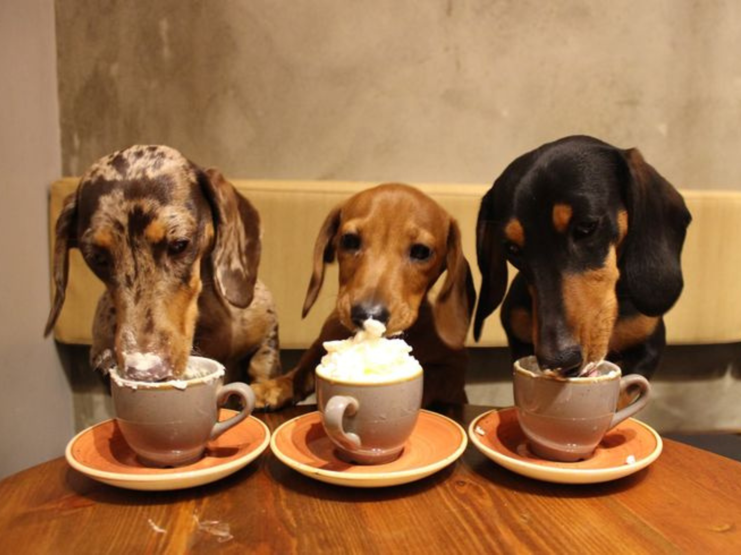 Návrh bez názvu (2)