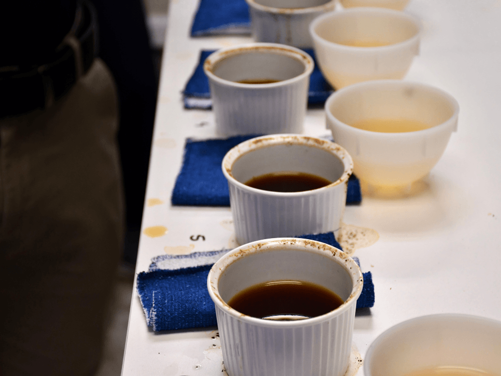 Misky po ukončení cuppingu.