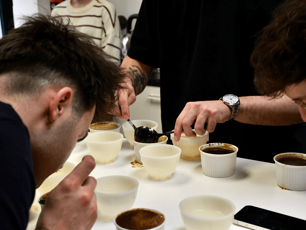 Sbírání sedliny z cuppingových misek.