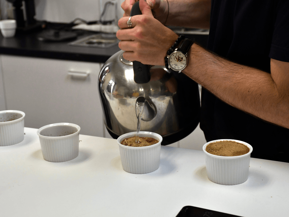 Zálévání kávy v cuppingových miskách.