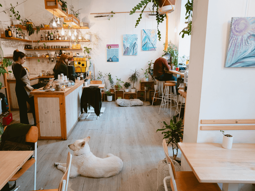 Světlý interiér kavárny Buchta B s ikonickým žlutým kávovarem.