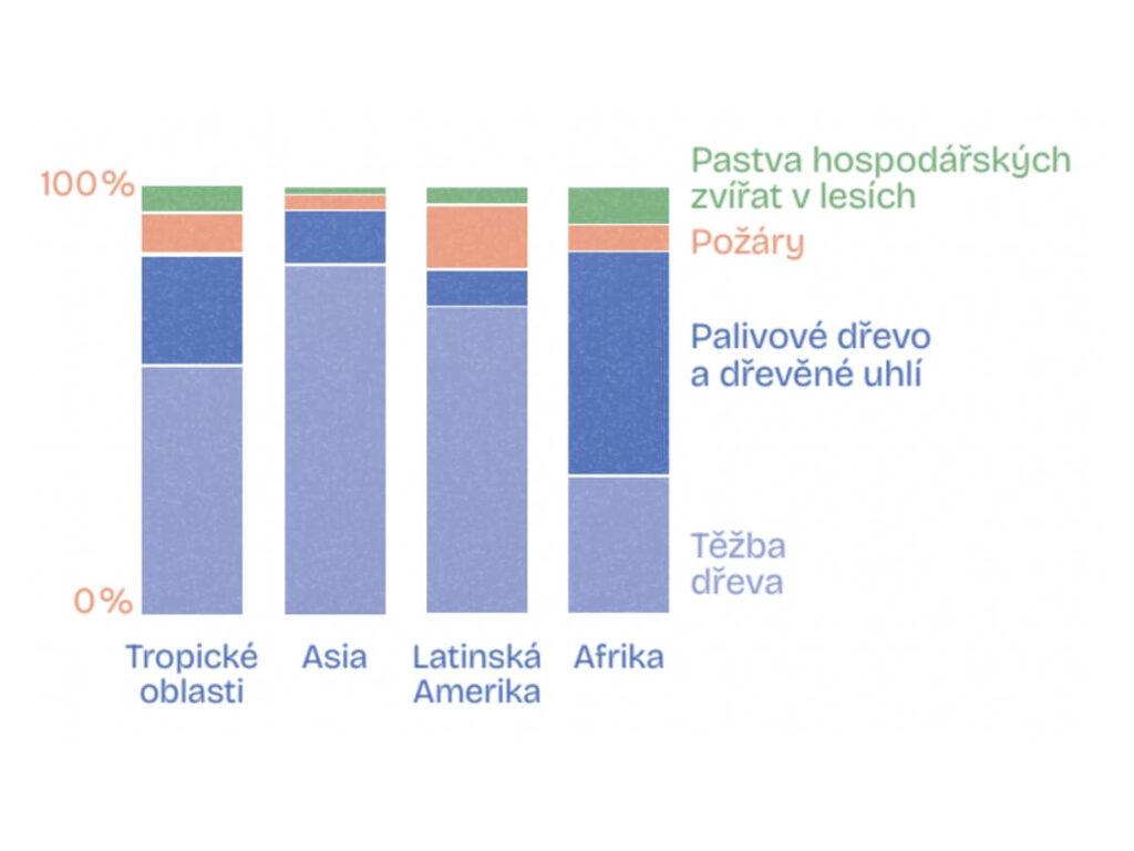 odlesňování komodity